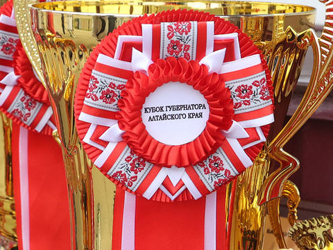 На Барнаульском ипподроме прошел Кубок губернатора Алтайского края